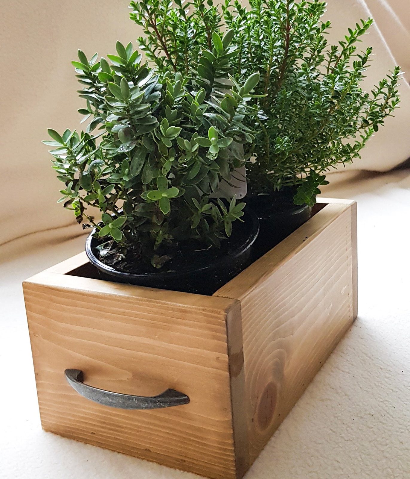 Make a Wooden Planter Workshop, photographed by Ash And Company
