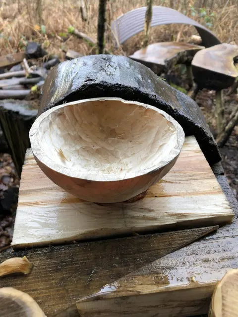 Carve your own bowl, photographed by Green Aspirations Scotland CIC