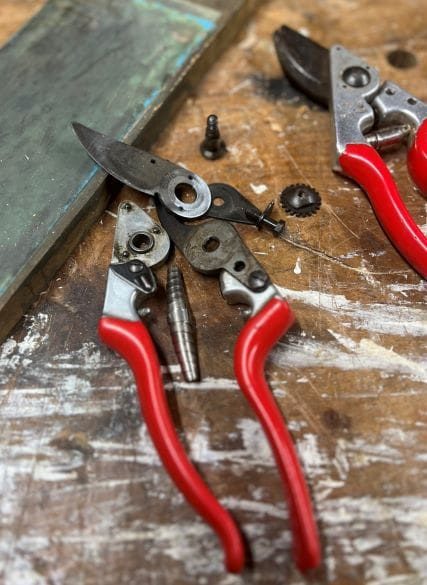 Sharpening day, photographed by Greenwood Days