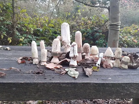 Monthly Workshop: Whittling for Beginners, photographed by Whisby Nature Park