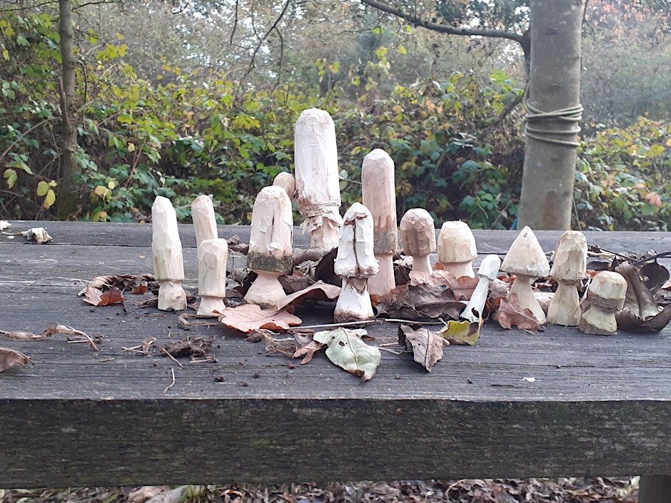 Monthly Workshop: Whittling for Beginners, photographed by Whisby Nature Park